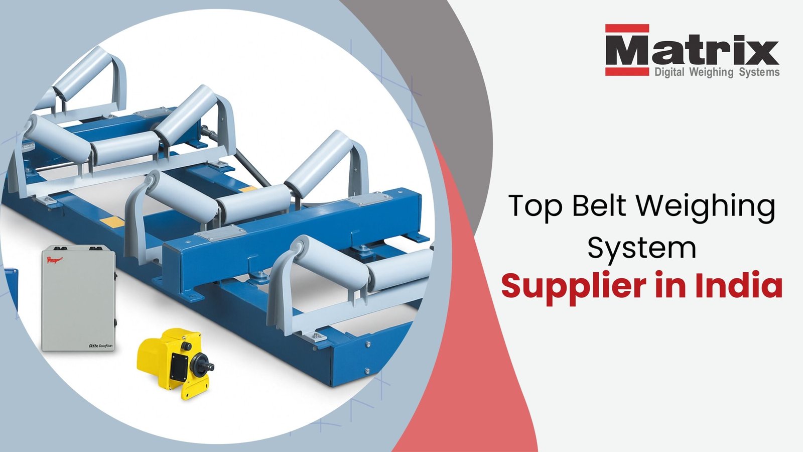 Top Belt Weighing System Supplier in India